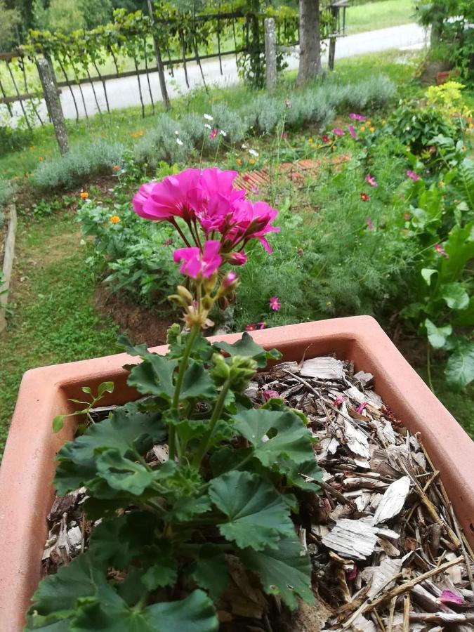 Ruralna Kuca Za Odmor Pozojova Hiza - Rural Holiday House Lopatinec Bagian luar foto