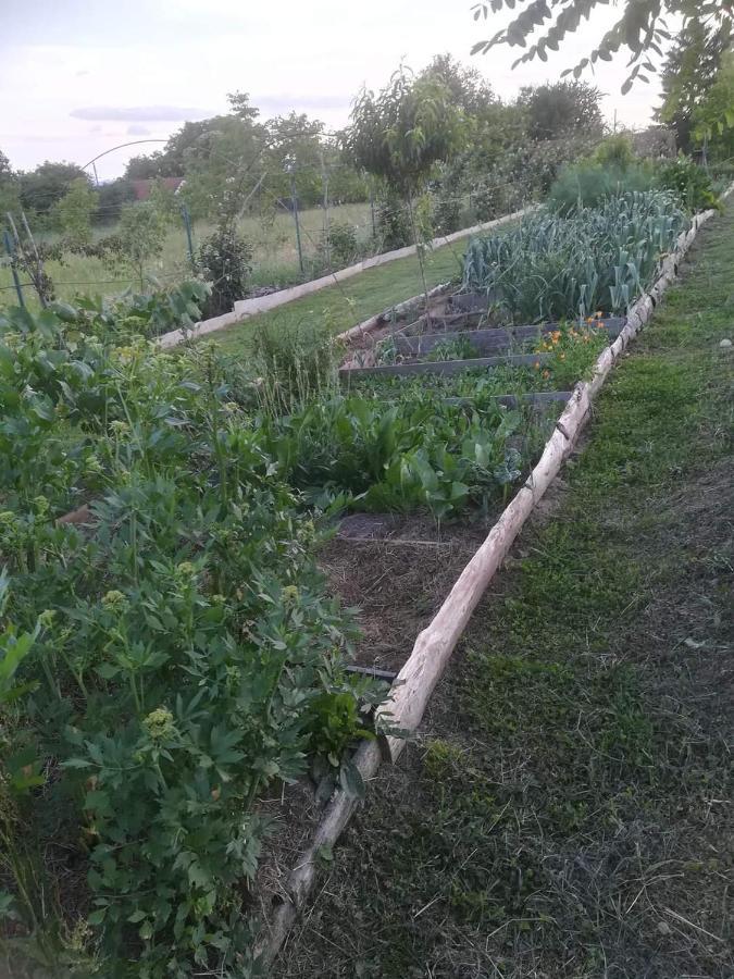 Ruralna Kuca Za Odmor Pozojova Hiza - Rural Holiday House Lopatinec Bagian luar foto
