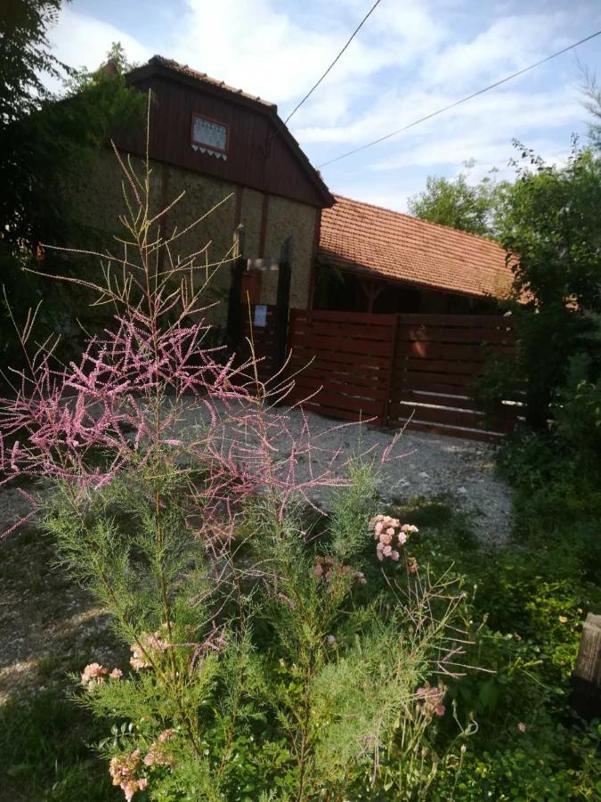 Ruralna Kuca Za Odmor Pozojova Hiza - Rural Holiday House Lopatinec Bagian luar foto