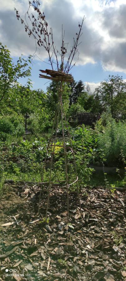 Ruralna Kuca Za Odmor Pozojova Hiza - Rural Holiday House Lopatinec Bagian luar foto
