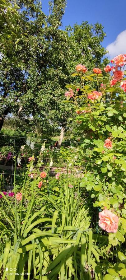 Ruralna Kuca Za Odmor Pozojova Hiza - Rural Holiday House Lopatinec Bagian luar foto