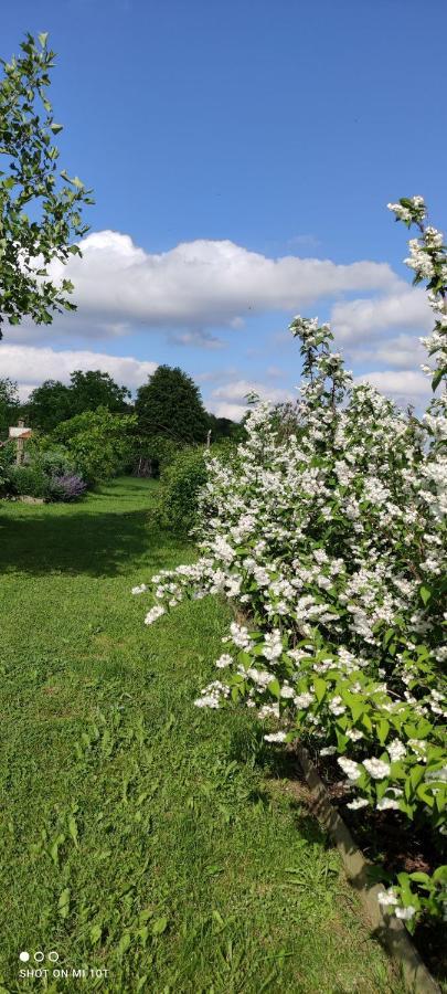 Ruralna Kuca Za Odmor Pozojova Hiza - Rural Holiday House Lopatinec Bagian luar foto